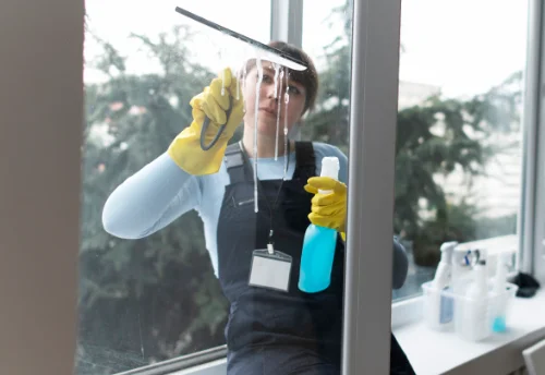 Nettoyage de vitres intérieures et extérieures au Plessis-Brion